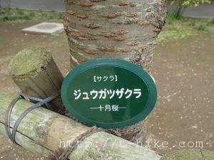 rimg0528