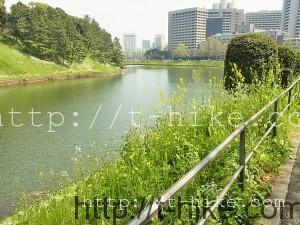 RIMG1358