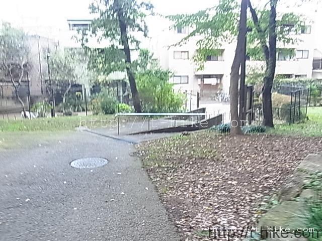 RIMG0492