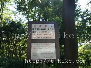 RIMG0390