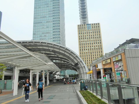 DSCN2684