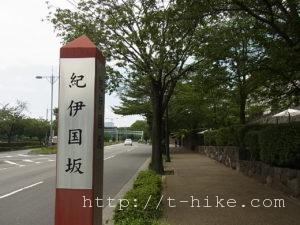 RIMG0196