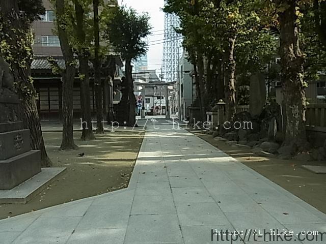 RIMG0699
