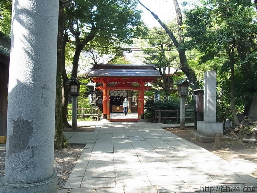 RIMG0319