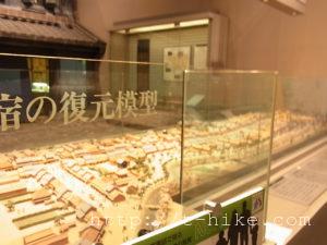 RIMG0895