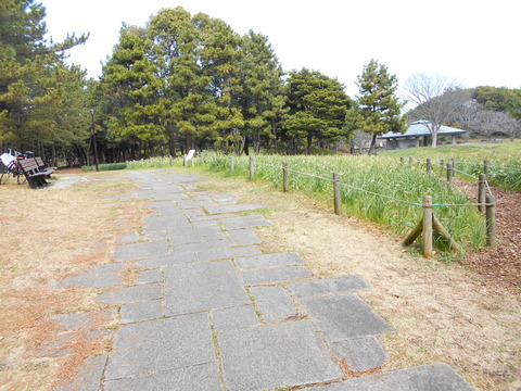 DSCN6737