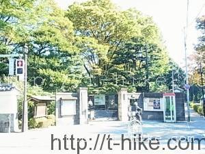 RIMG0033