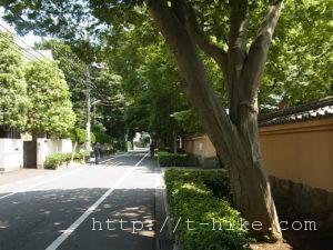RIMG0181