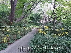 RIMG0241