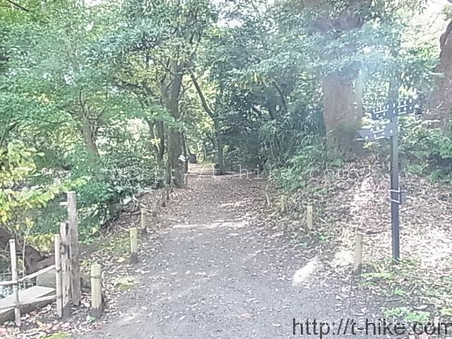 RIMG0369