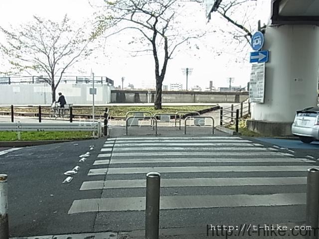 RIMG0667