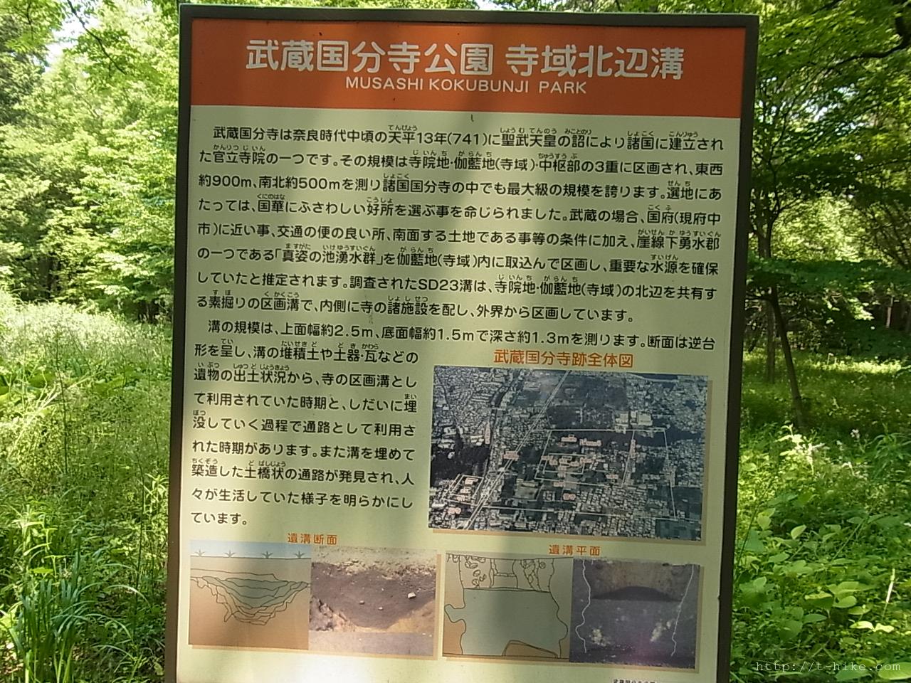 RIMG0938