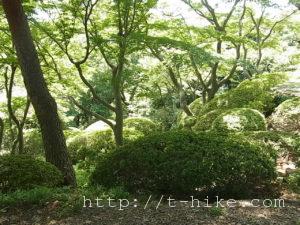 RIMG0133