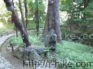 RIMG0067