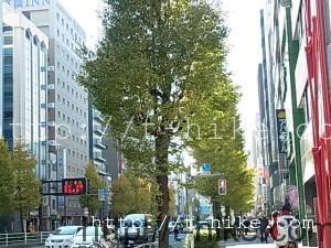 RIMG0118