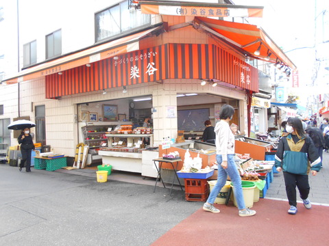 DSCN9646
