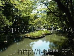 RIMG0494