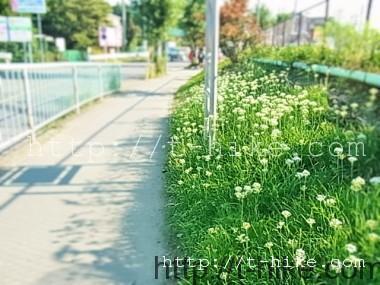 RIMG0679