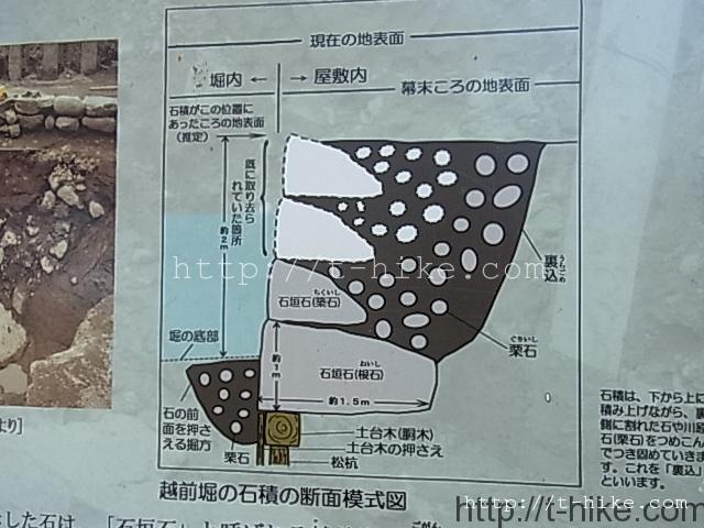 RIMG0258