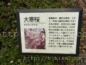 RIMG0537