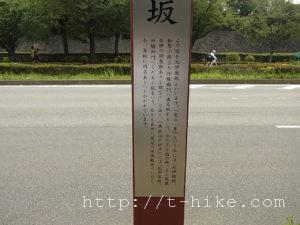 RIMG0197