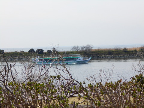 DSCN6641