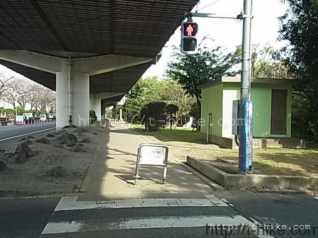 RIMG0687