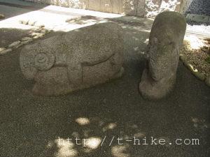 RIMG0862