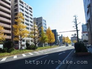 rimg0934