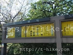 RIMG0039