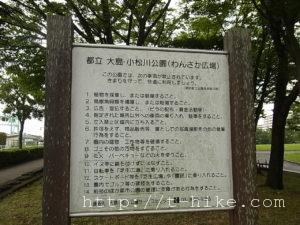 RIMG0421