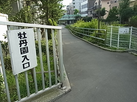 RIMG0617
