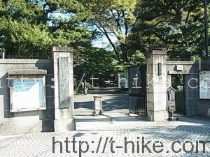 RIMG0035