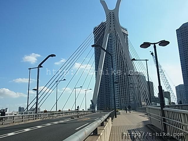 RIMG0231