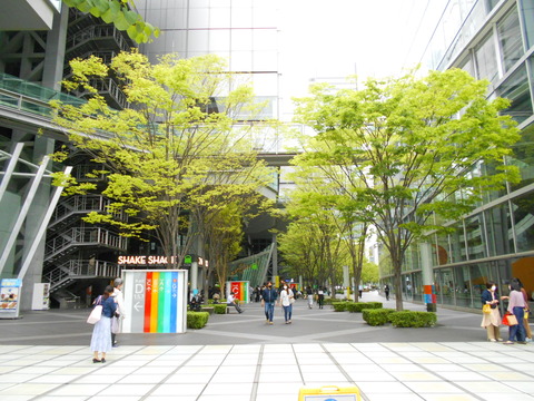 DSCN8070