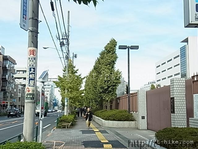 RIMG0028