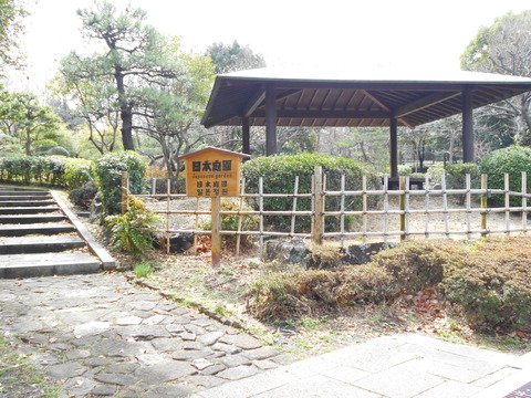 DSCN6718