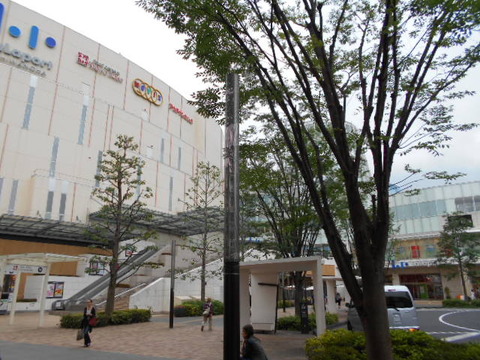 DSCN2904