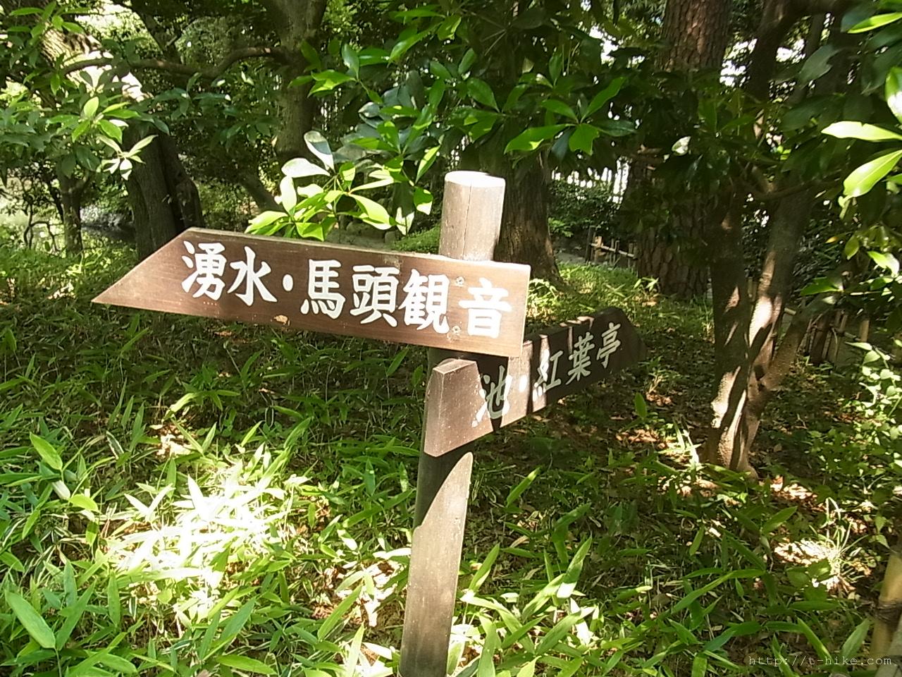 RIMG0973