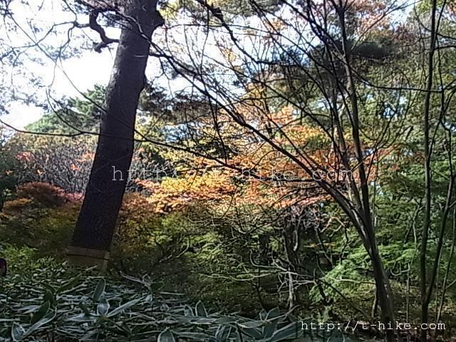 RIMG0241