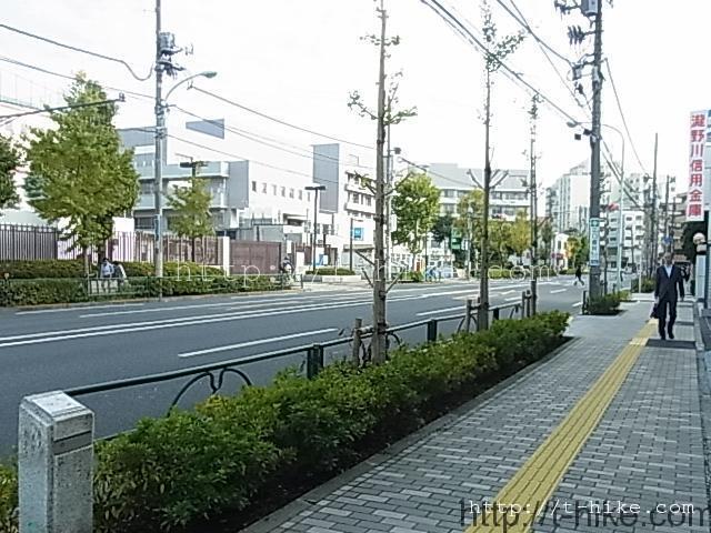 RIMG0329
