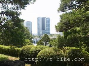 RIMG0141