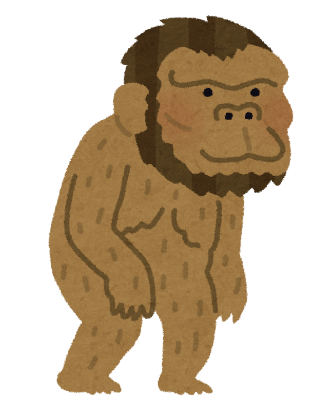 Complete Australopithecus arukemaya_y551