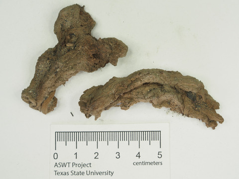 arukemaya544
