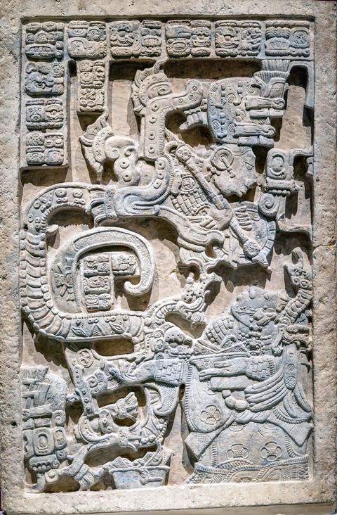 arukemaya_y681