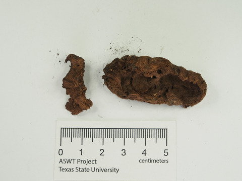 arukemaya545