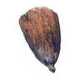 arukemaya975