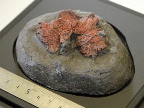 D3BA39CC-5B3F-403F-8C02-D58D8100ED1E