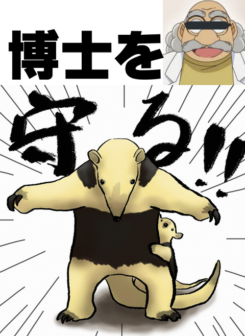 博士守る