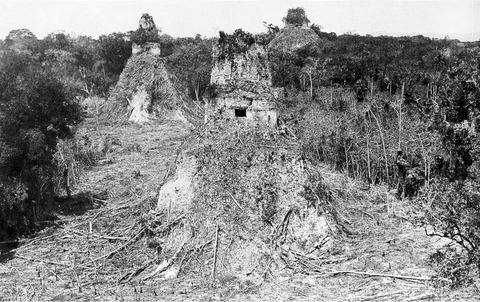 arukemaya1316